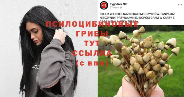 бошки Абинск