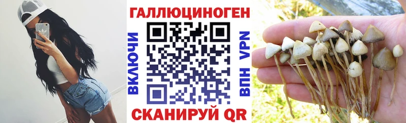 Псилоцибиновые грибы ЛСД Касли